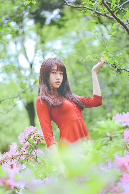 明星大侦探第三季