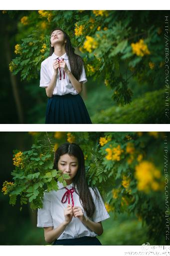 孤舟电视剧全集免费观看高清在线播放